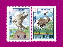1995 N79-80 ����� ������� ����� ������. �����. ��в�