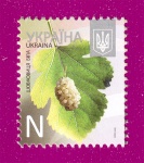 2013 N1270 ����� 8-� �������� ��������� ��� ������ N