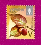 2015 N1456 ����� 8-� �������� ����� ��������� ������ V